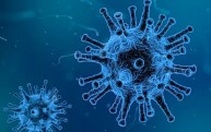 Desinfección por coronavirus en Tarragona - Información de interés